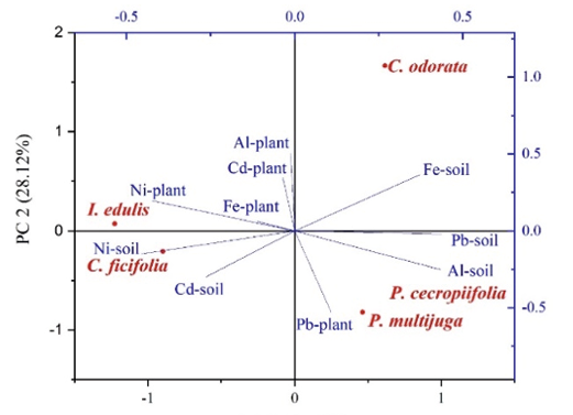 Gráfico

Descripción generada automáticamente